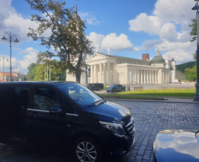 Mikroautobuso Mercedes nuoma su vairuotoju, keleivių vežimas / Gintaras / Darbų pavyzdys ID 3443026