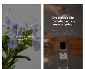 Soc. tinklų administravimas, video strategija ir reklama / Akvilė / Darbų pavyzdys ID 3443462