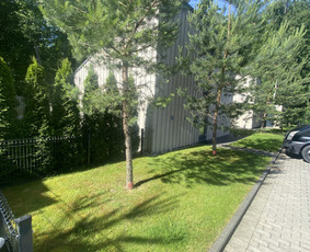 Vejos Priežiūra ir Gerbūvio Darbai / Jaunius / Darbų pavyzdys ID 3443830