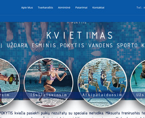 Interneto svetainių kūrimas, El. parduotuvių kūrimas / Jonas / Darbų pavyzdys ID 3444872