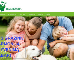 Interneto svetainių kūrimas, El. parduotuvių kūrimas / Jonas / Darbų pavyzdys ID 3444876