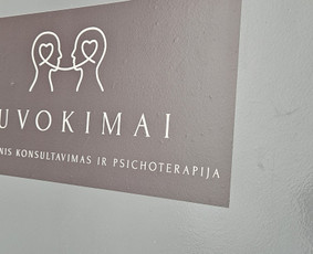Profesionali šiuolaikinė psichoterapija suaugusiems / Indrė / Darbų pavyzdys ID 3445608