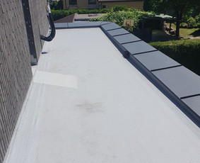 Plokščių Stogų Dengimas Pvc, Epdm ir bitumine Danga / Tvirti stogai / Darbų pavyzdys ID 3446028