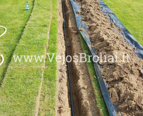 Vejos įrengimas, apželdinimas. / Vejos Broliai / Darbų pavyzdys ID 3446552