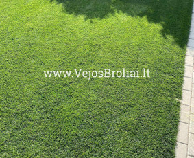 Vejos įrengimas, apželdinimas. / Vejos Broliai / Darbų pavyzdys ID 3446572