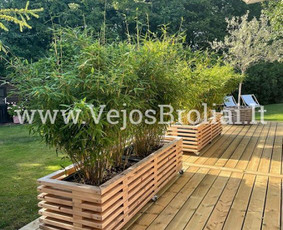 Vejos įrengimas, apželdinimas. / Vejos Broliai / Darbų pavyzdys ID 3446632