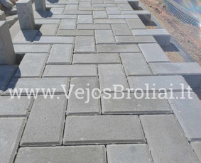 Vejos įrengimas, apželdinimas. / Vejos Broliai / Darbų pavyzdys ID 3446658