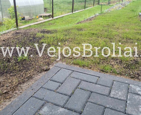 Vejos įrengimas, apželdinimas. / Vejos Broliai / Darbų pavyzdys ID 3446670