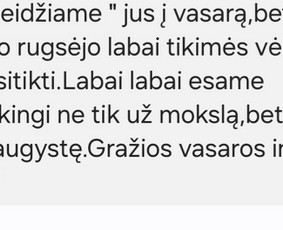 Matematikos mokymas grupėje - Padedu suprasti matematiką - 2
