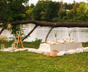 Piknikas Jūsų pasirinktoje vietoje / Piknikas Panevėžyje / Darbų pavyzdys ID 3447886