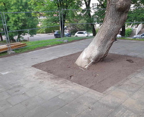 Trinkelių klojimas, tvorų montavimas / Bygg Statyba / Darbų pavyzdys ID 3448216