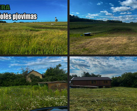 Obelų, genėjimas. Krūmų pjovimas. Gyvatvorių karpymas / Sodoera MB / Darbų pavyzdys ID 3449862