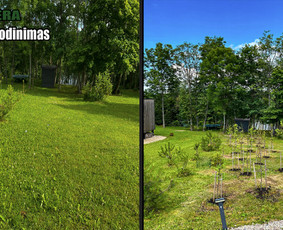 Obelų, genėjimas. Krūmų pjovimas. Gyvatvorių karpymas / Sodoera MB / Darbų pavyzdys ID 3449864