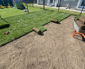 Aplinkos tvarkymas, apželdinimas - Vejos įrengimas,sėjimas,atnaujinimas,priežiūra! - 2