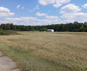 Pievų &scaron;ienavimas - Žolės &scaron;ienavimas, tujų formavimas, sodybų priežiūra - 2