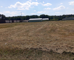 Žolės šienavimas, tujų formavimas, sodybų priežiūra / Erikas Mantickis / Darbų pavyzdys ID 3452056
