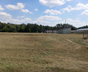 Pievų &scaron;ienavimas - Žolės &scaron;ienavimas, tujų formavimas, sodybų priežiūra - 1