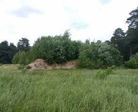 Pievų &scaron;ienavimas - Žolės &scaron;ienavimas, tujų formavimas, sodybų priežiūra - 4