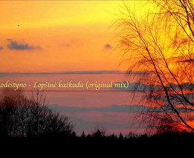 Reklamos bei muzikos įrašai studijoje / Modestas Kapustinskas / Darbų pavyzdys ID 674135