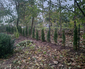 Tvorų, vartų, vartelių montavimas / Mantas / Darbų pavyzdys ID 3453182