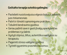 Psichologinė, emocinė pagalba - Geštalto /psichologinės konsultacijos - 4