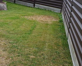 Tvorų, vartų, vartelių montavimas / Mantas / Darbų pavyzdys ID 3456560