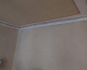 Griovimo darbai šiukšliu išvežimas / Audrius / Darbų pavyzdys ID 3456858