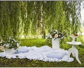 Krikštynos, Vestuvės, kitos šventės, asmeninės/šeimos / Krikštynos, Vestuvės, kitos šventės / Darbų pavyzdys ID 3457316