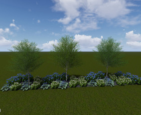 Kraštovaizdžio projektavimas / Gintarė Čiginskaitė / Darbų pavyzdys ID 3458004