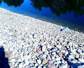 Šlaitų.pakrančių tvirtinimas-atraminės sinelės / GeoMax / Darbų pavyzdys ID 675935