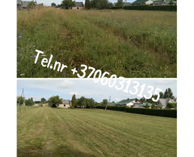 Vejos pjovimas-aplinkos priežiūra, tvarkymas. / Zigmas / Darbų pavyzdys ID 3458578