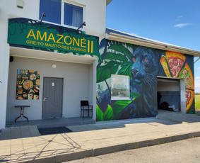 Mstudija - sienų tapyba, 3D piešiniai, graffiti. / Marius Skrupskis / Darbų pavyzdys ID 3458874