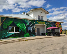 Mstudija - sienų tapyba, 3D piešiniai, graffiti. / Marius Skrupskis / Darbų pavyzdys ID 3458878