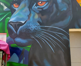 Mstudija - sienų tapyba, 3D piešiniai, graffiti. / Marius Skrupskis / Darbų pavyzdys ID 3458880