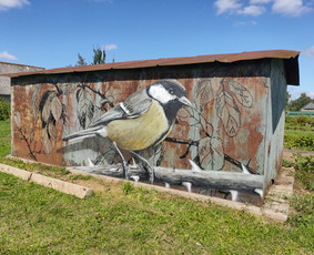 Mstudija - sienų tapyba, 3D piešiniai, graffiti. / Marius Skrupskis / Darbų pavyzdys ID 3458896