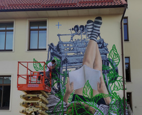 Mstudija - sienų tapyba, 3D piešiniai, graffiti. / Marius Skrupskis / Darbų pavyzdys ID 3458936