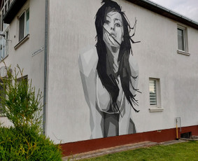 Mstudija - sienų tapyba, 3D piešiniai, graffiti. / Marius Skrupskis / Darbų pavyzdys ID 3458946
