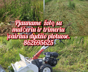 Pjauname aukšta žole mulčeriu,trimeriais - Žolės pjovimas - 1 Žolės pjovimas - Pjauname aukšta žole mulčeriu,trimeriais - 1