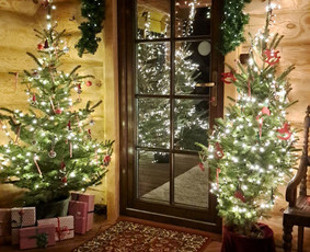 Nuomos paslaugos - Sodybos Pirties Kubilo Nuoma sodyba nuomai poilsiui šventėms - 3