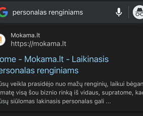 #1 Internetinių svetainių ir parduotuvių kūrimas / MB REKA GROUP / Darbų pavyzdys ID 3460582