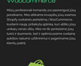 #1 Internetinių svetainių ir parduotuvių kūrimas / MB REKA GROUP / Darbų pavyzdys ID 3463252