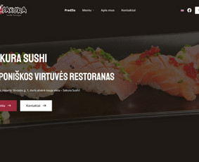 Svetainių kūrimas - Internetinių svetainių ir el. parduotuvių kūrimas - 3