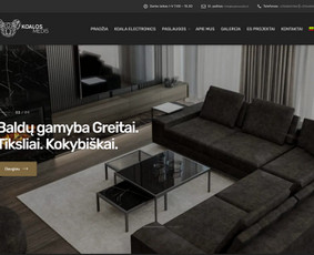 Svetainių kūrimas - Internetinių svetainių ir el. parduotuvių kūrimas - 4