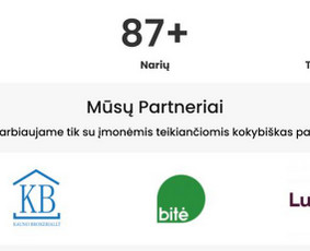 #1 Internetinių svetainių ir parduotuvių kūrimas / MB REKA GROUP / Darbų pavyzdys ID 3464156