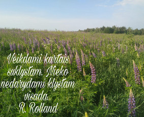 Psichologės psichoterapeutės pagalba internetu / Kristina Valkauskienė / Darbų pavyzdys ID 3464870