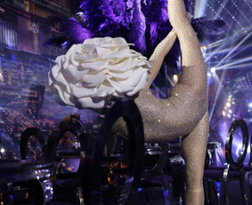 Šou pasirodymai / DIAMONDS SHOW / Darbų pavyzdys ID 3465944