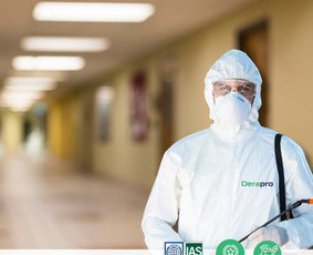 Kenkėjų naikinimas 24/7 Vilniuje / UAB "Utenos deratizacija" | Derapro / Darbų pavyzdys ID 3468172