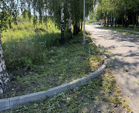 Žolės pjovimas, skarifikavimas , tręšimas, purškimas / MB ,,Žolnera” / Darbų pavyzdys ID 3468324
