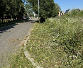 Žolės pjovimas, skarifikavimas , tręšimas, purškimas / MB ,,Žolnera” / Darbų pavyzdys ID 3468326