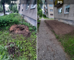 Vejos priežiūra. - Žemės frezavimas - 4 Žemės frezavimas - Vejos priežiūra. - 4